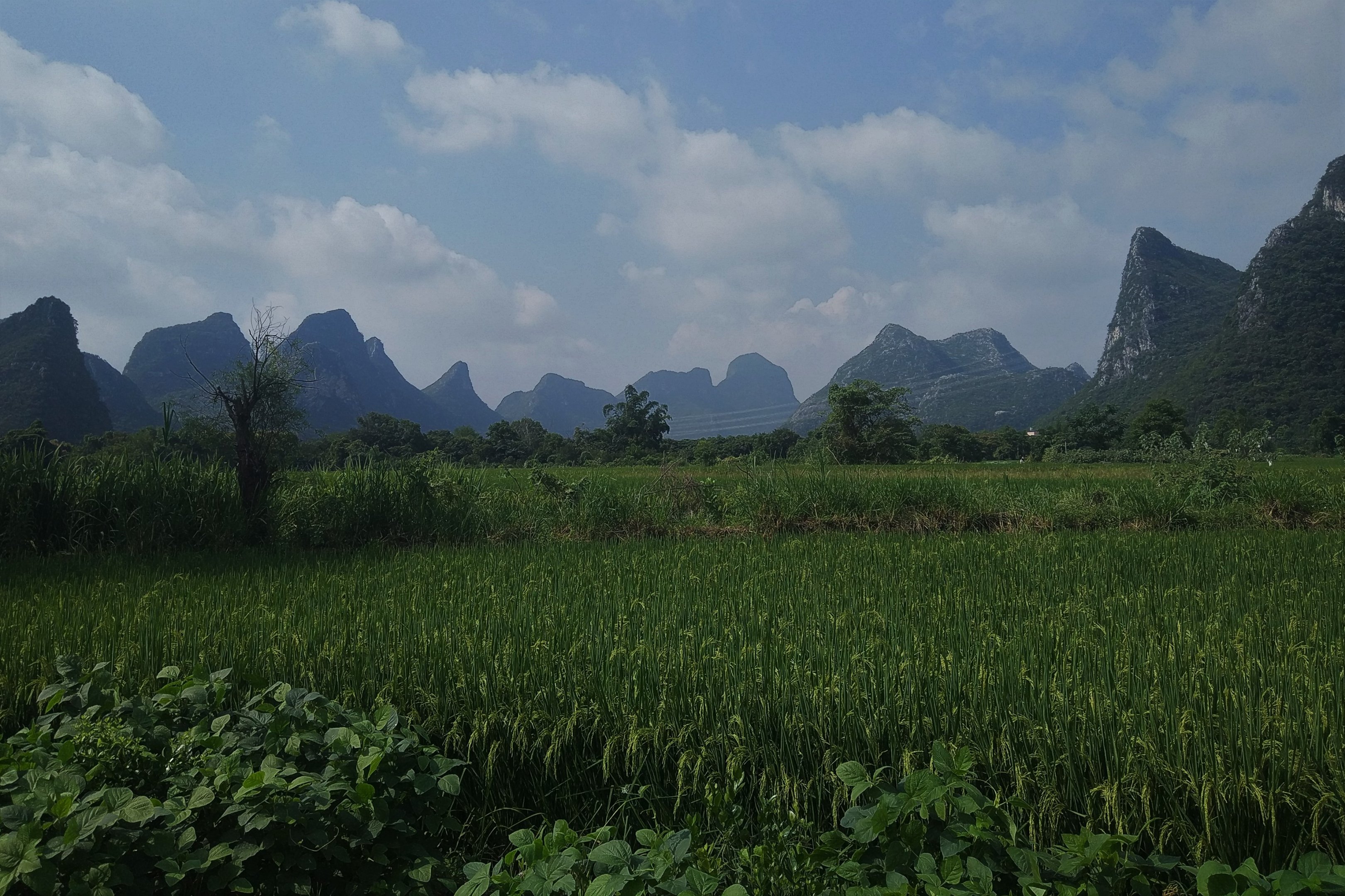 Fields outside Guilin