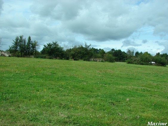 Fifth exhibit (Cars-Part) : Tigers