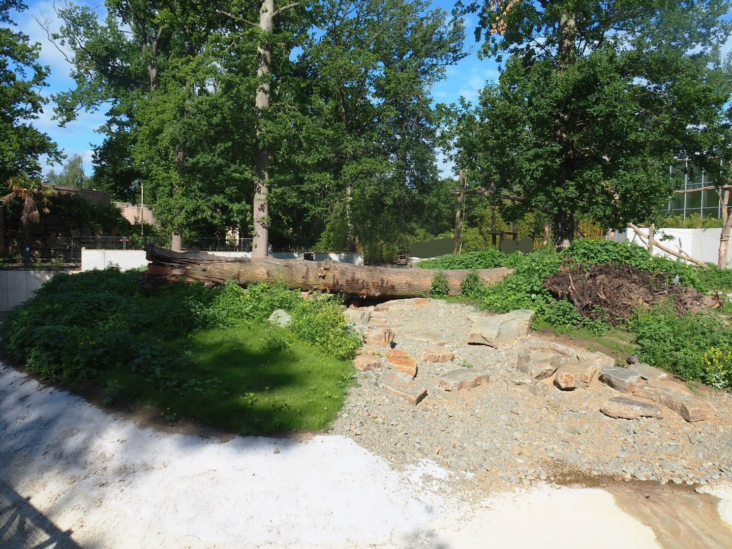 Fifth island, not connected to the greenhouse - According to map future red panda exhibit, 2022-07-03