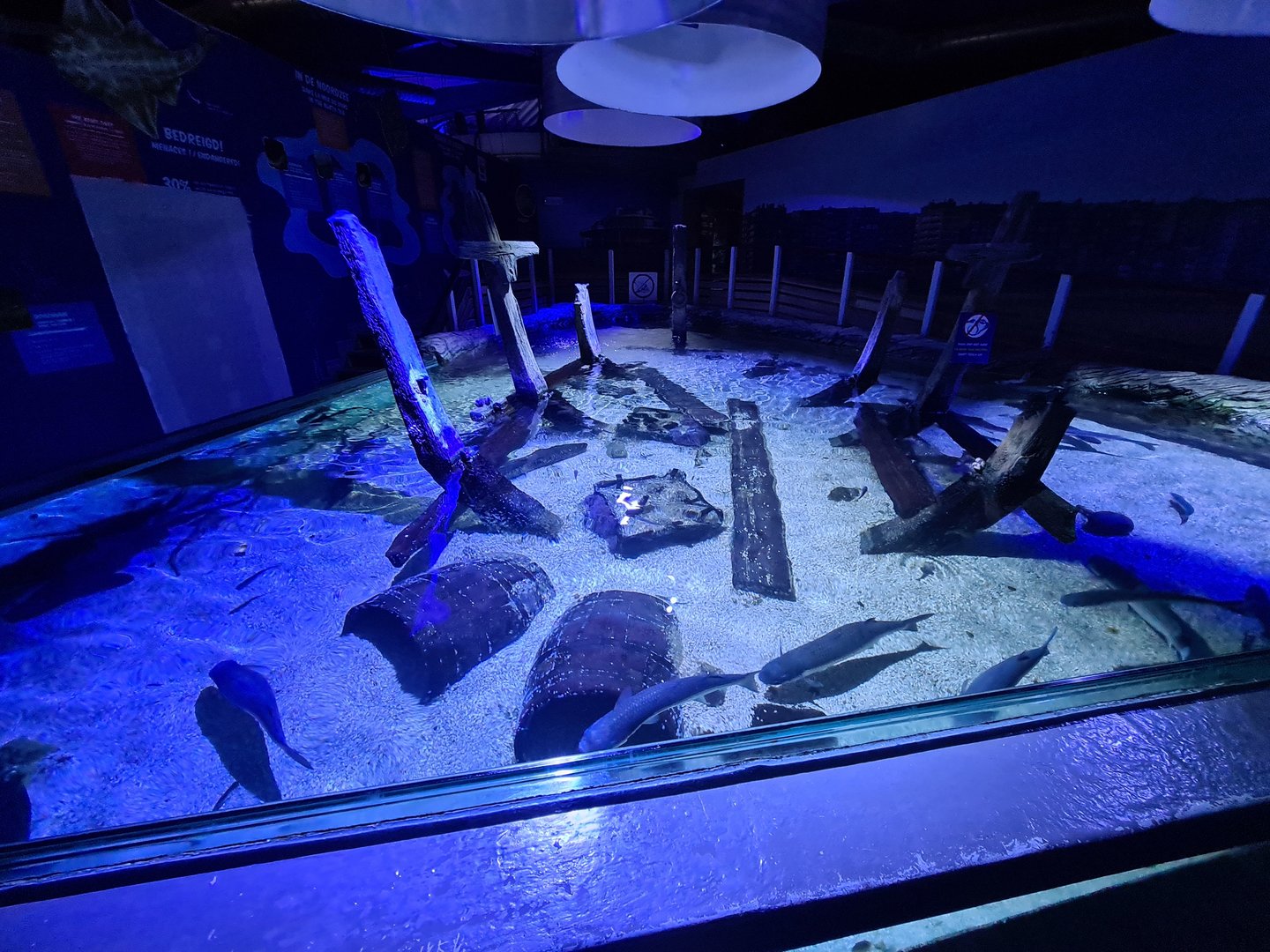 Fifth room - North Sea tank (Top view)