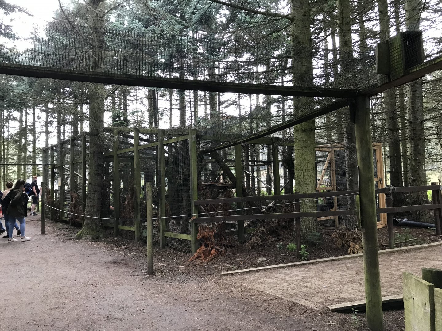 Fifth wildcat enclosure