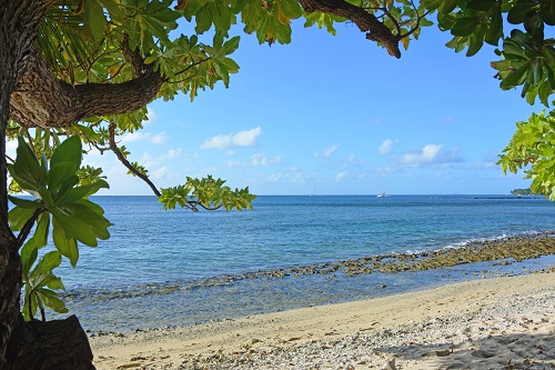 Fijian beach scene.
