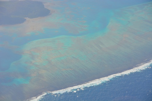 Fijian coral reef.