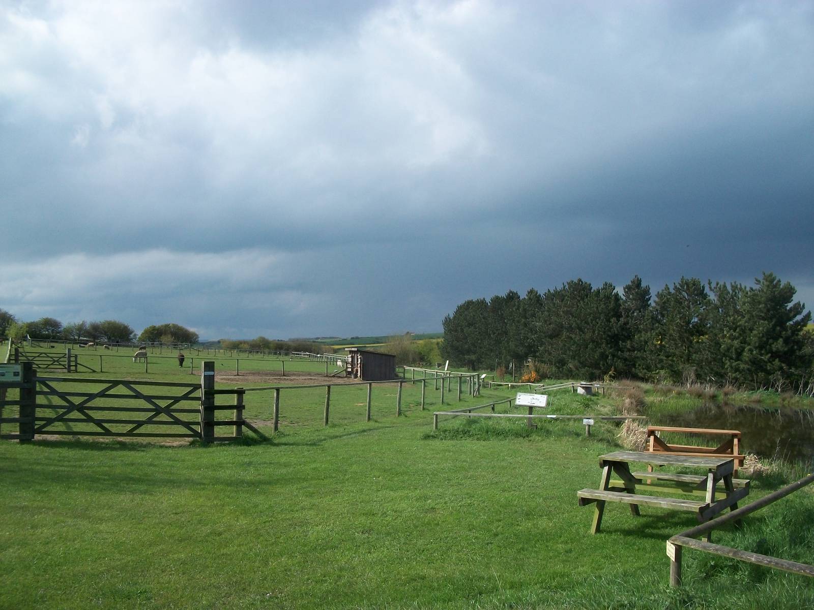Filey Bird Garden and Animal Park 20th April 2012