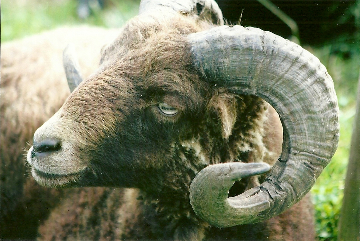 Filey Bird Garden and Animal Park 31st August 2012