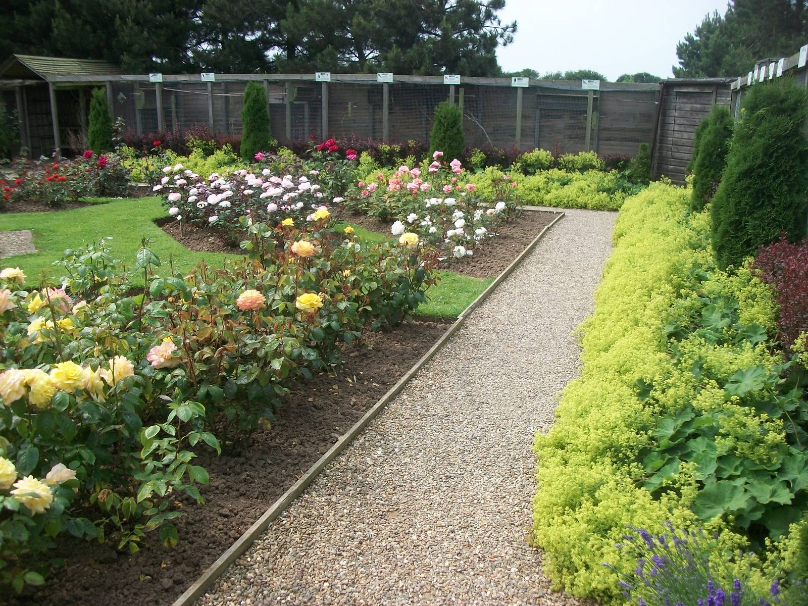 Filey Bird Garden and Animal Park, gardens 12th July 2013