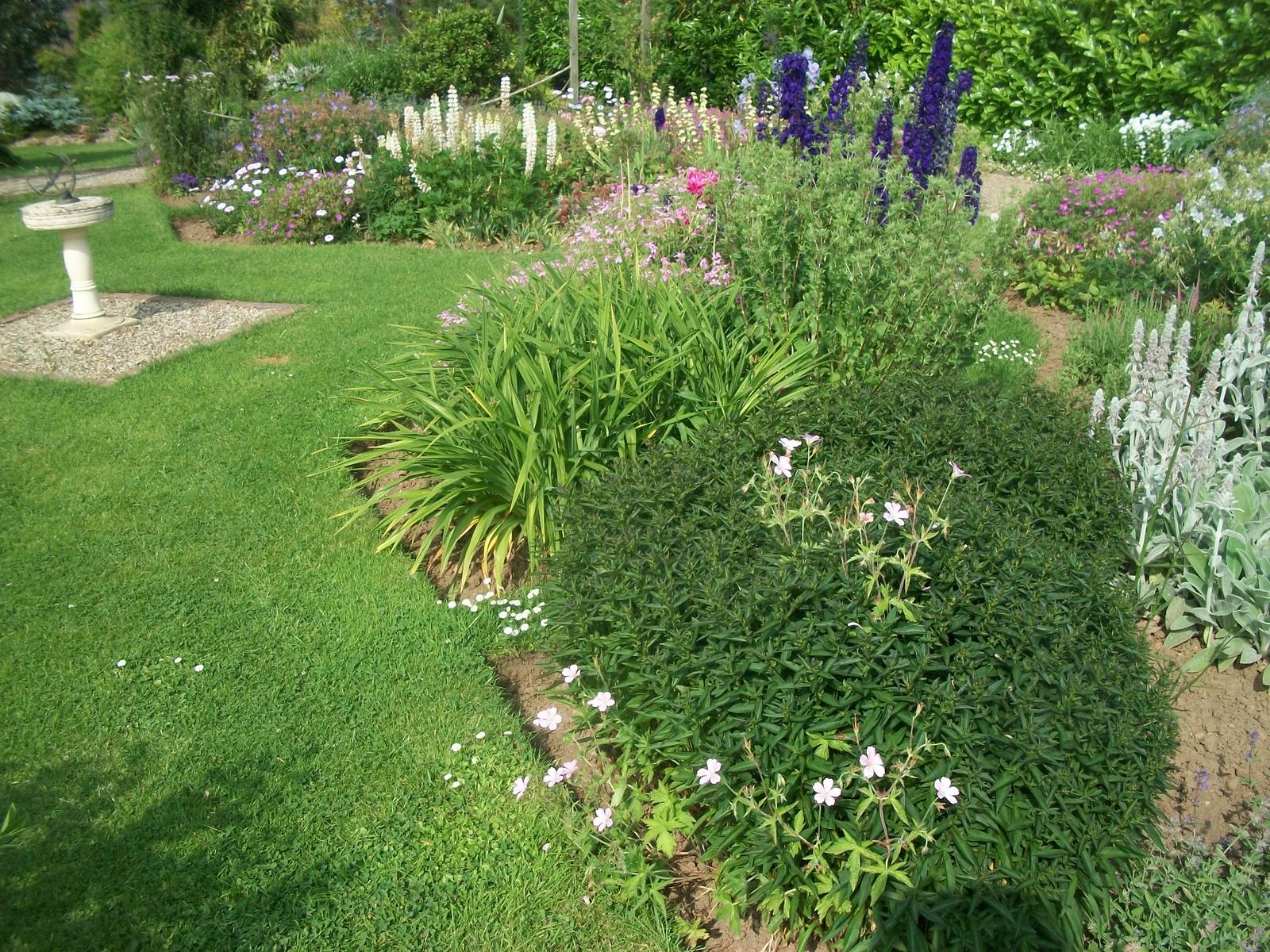 Filey Bird Garden and Animal Park, gardens 12th July 2013