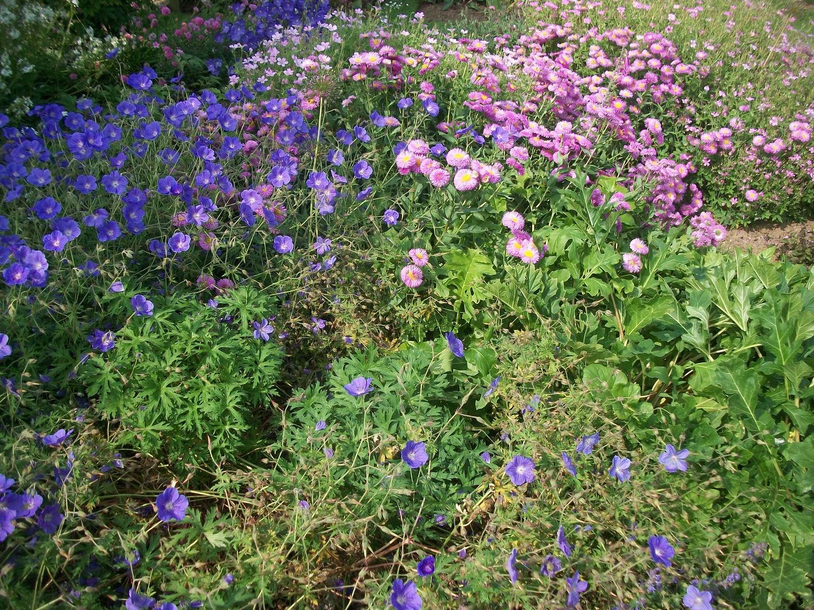 Filey Bird Garden and Animal Park, gardens 12th July 2013