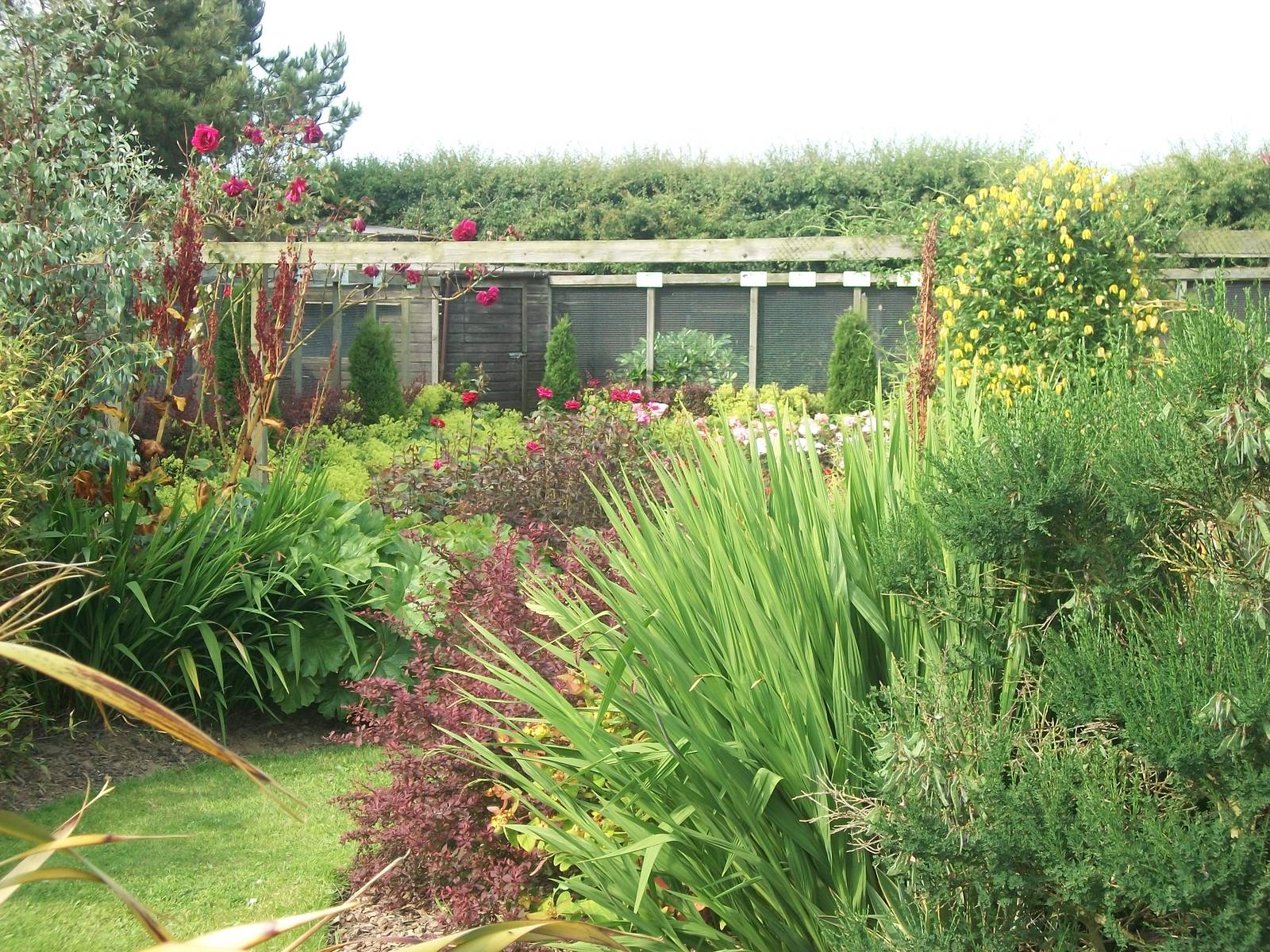 Filey Bird Garden and Animal Park, gardens 12th July 2013