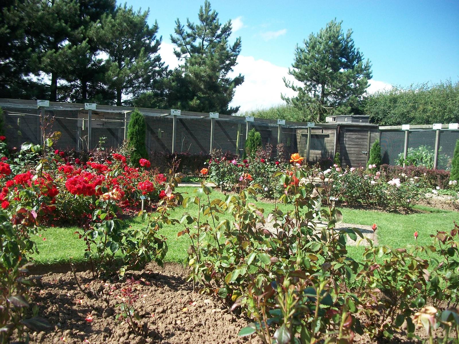 Filey Bird Garden and Animal Park, gardens 2nd August 2013