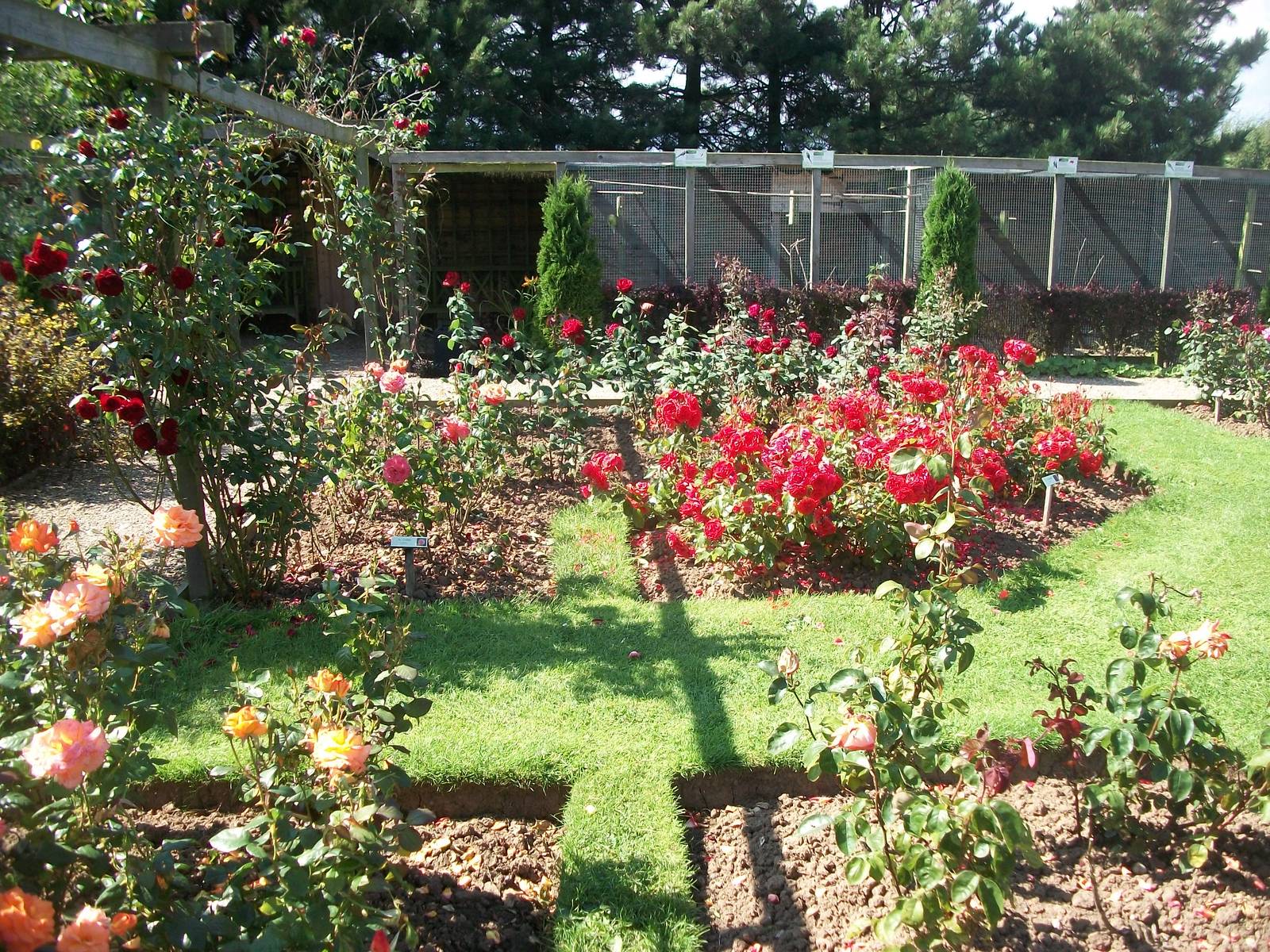 Filey Bird Garden and Animal Park, gardens 2nd August 2013