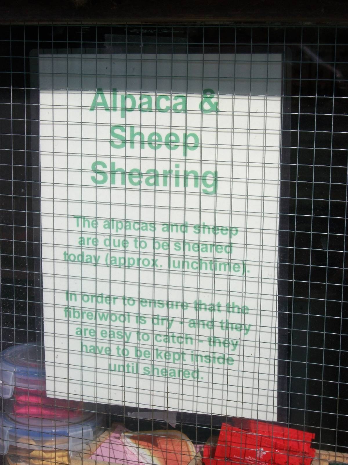 Filey Bird Garden and Animal Park, information 2nd August 2013