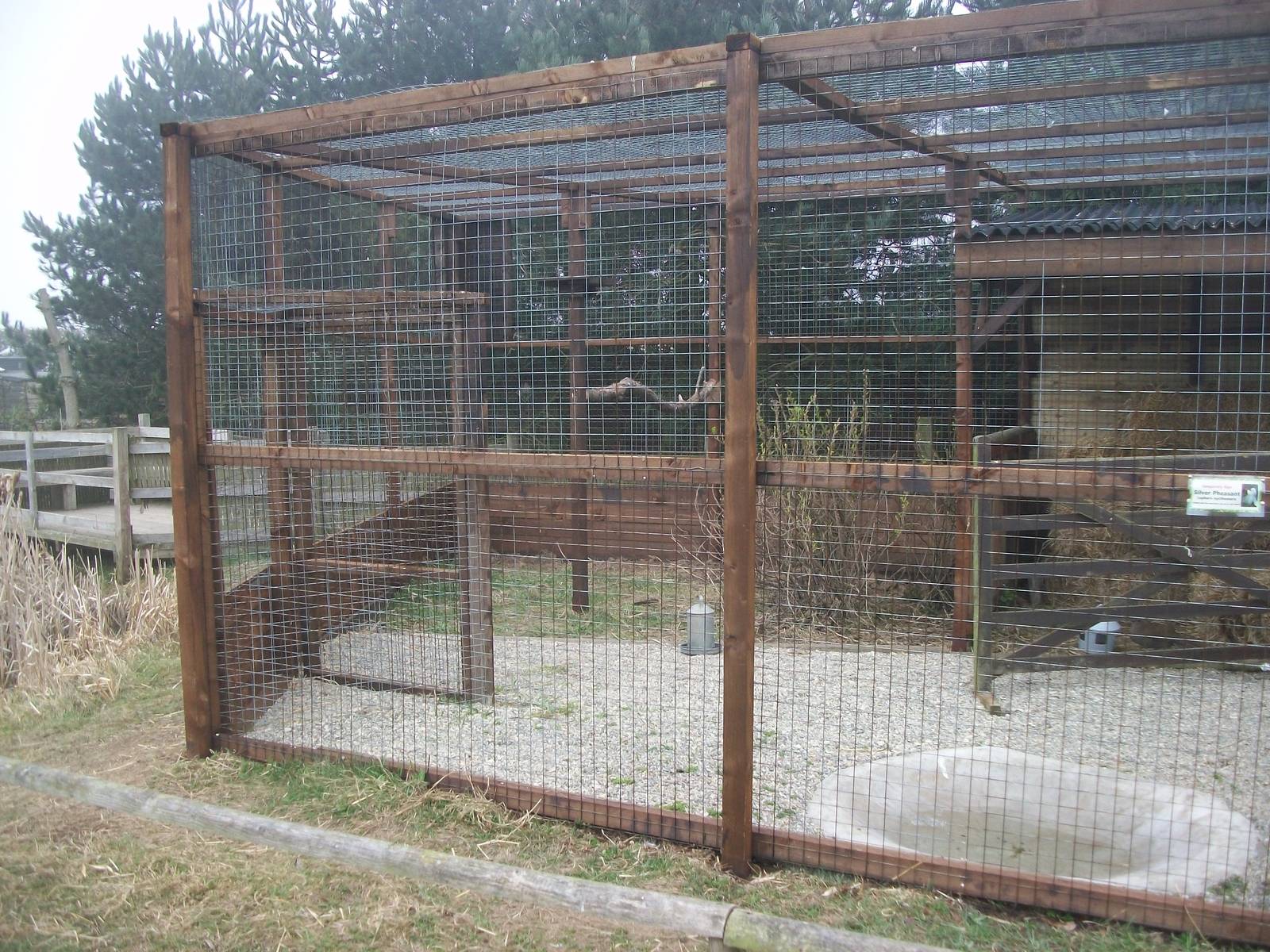 Filey Bird Garden and Animal Park, new aviary for Barn Owls 12th April 2013