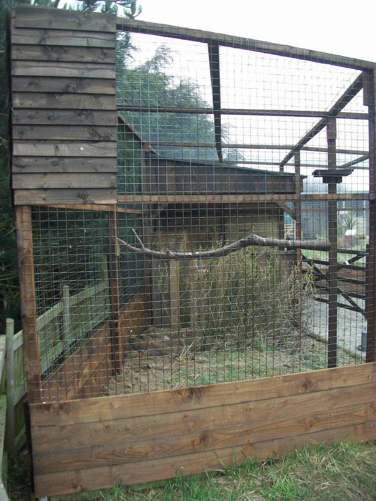 Filey Bird Garden and Animal Park, new aviary for Barn Owls 12th April 2013