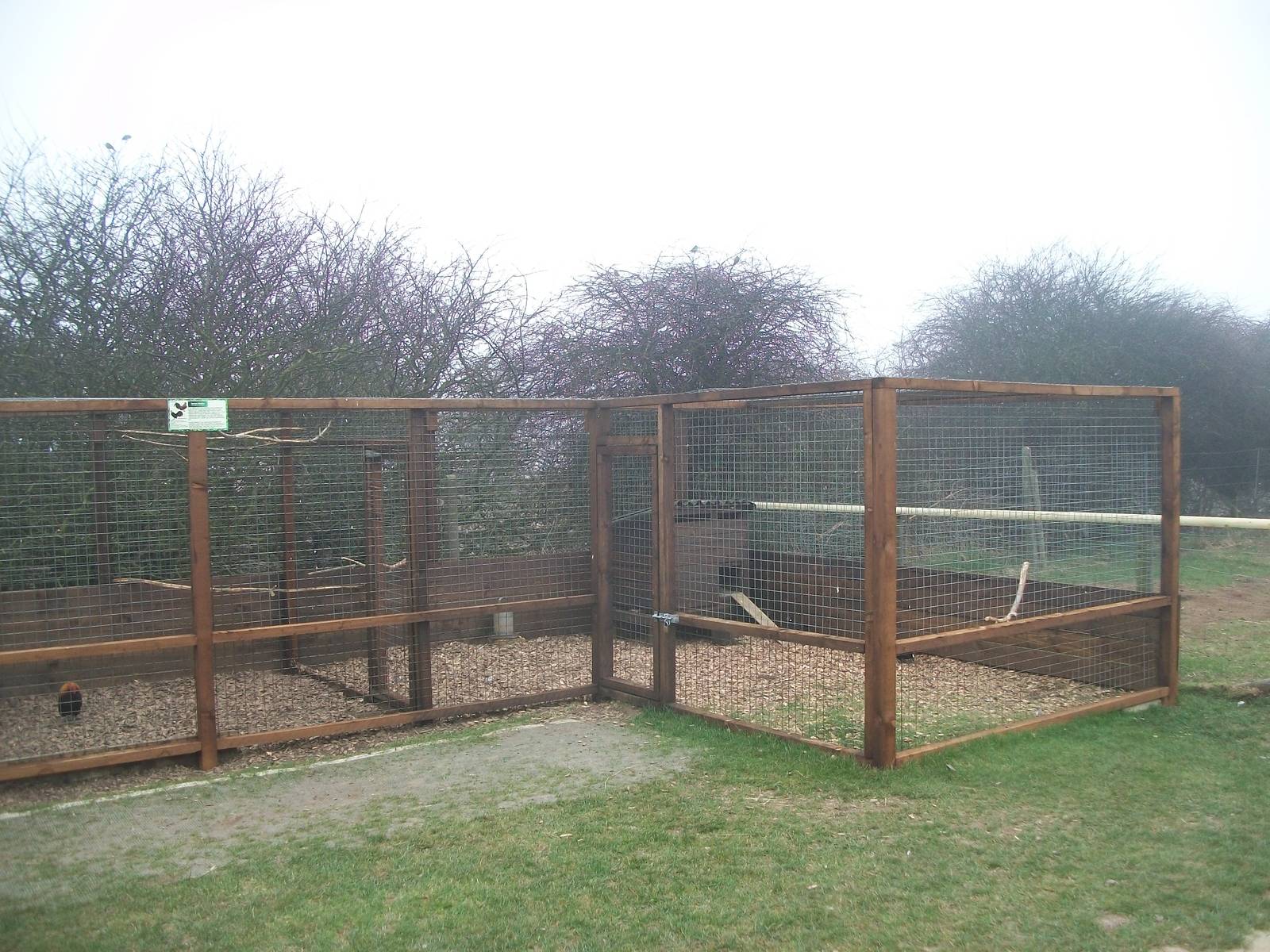 Filey Bird Garden and Animal Park, new aviary for Java Doves and Bantams 12