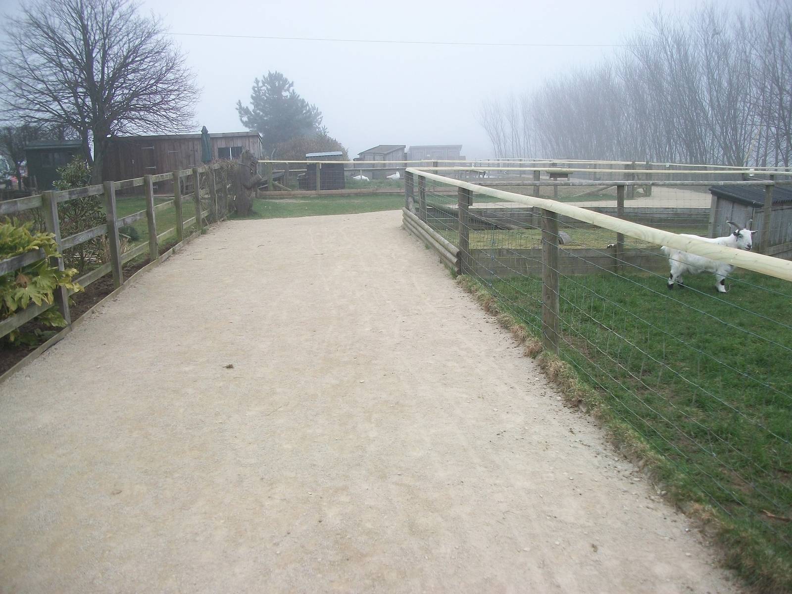 Filey Bird Garden and Animal Park, new pathway 12th April 2013