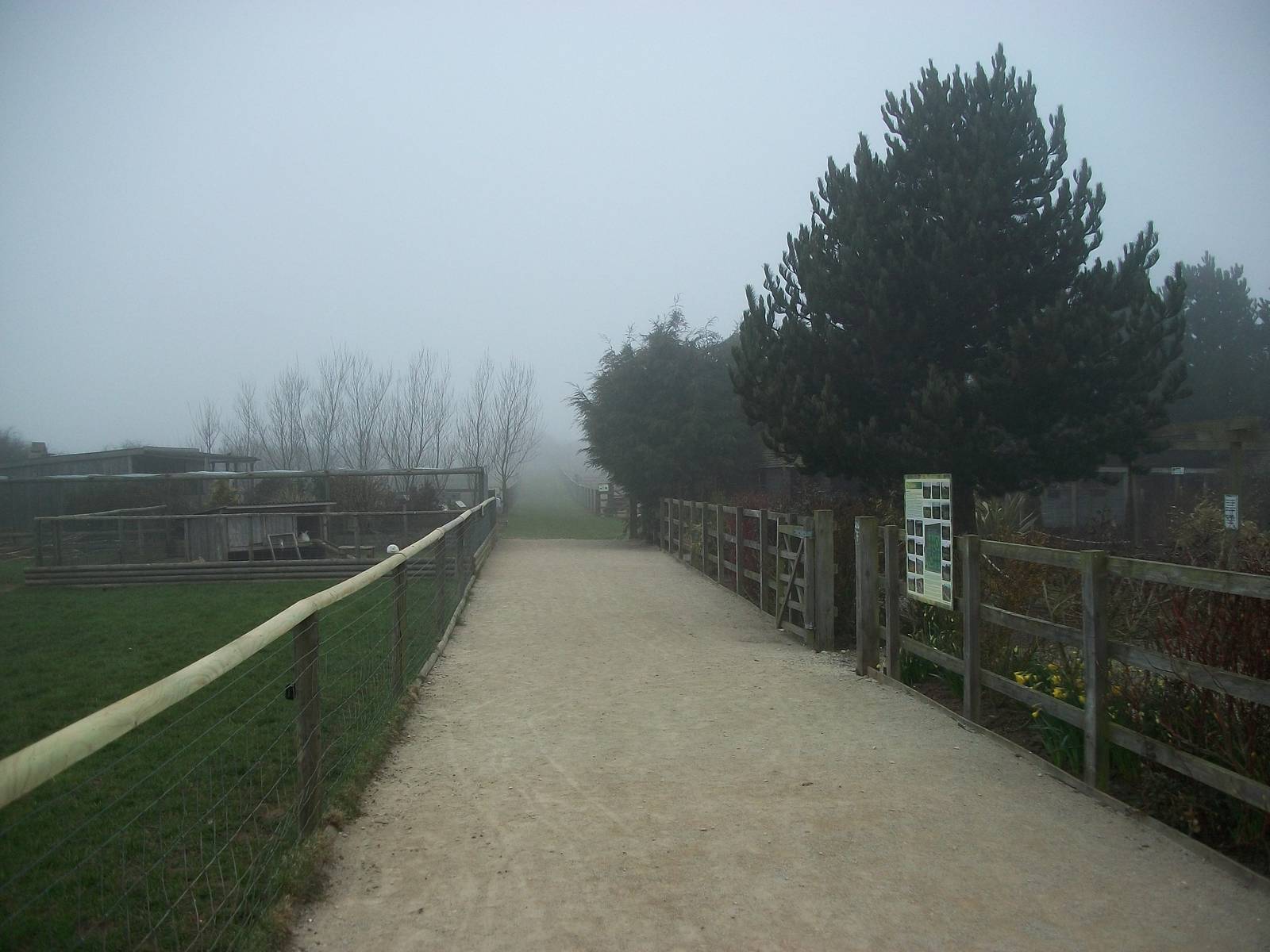 Filey Bird Garden and Animal Park, new pathway 12th April 2013