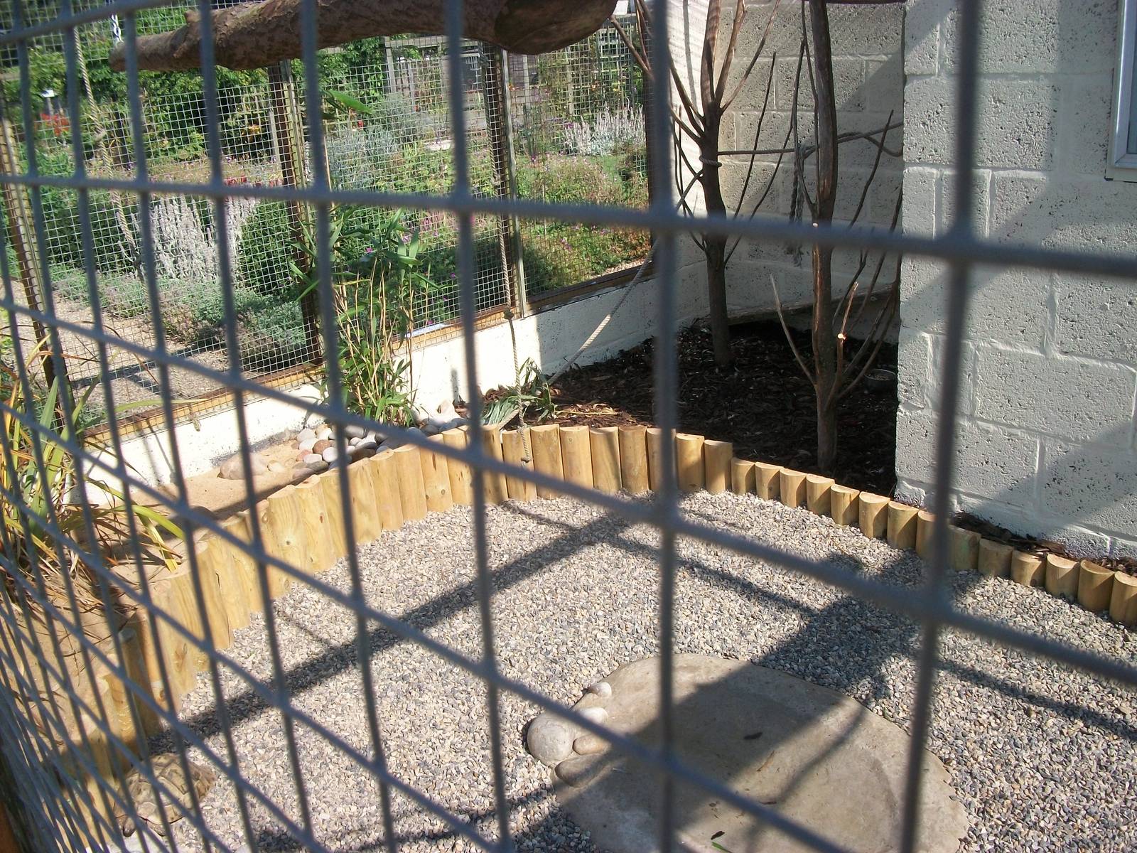 Filey Bird Garden and Animal Park, Parrot Aviary completed and occupied 2nd