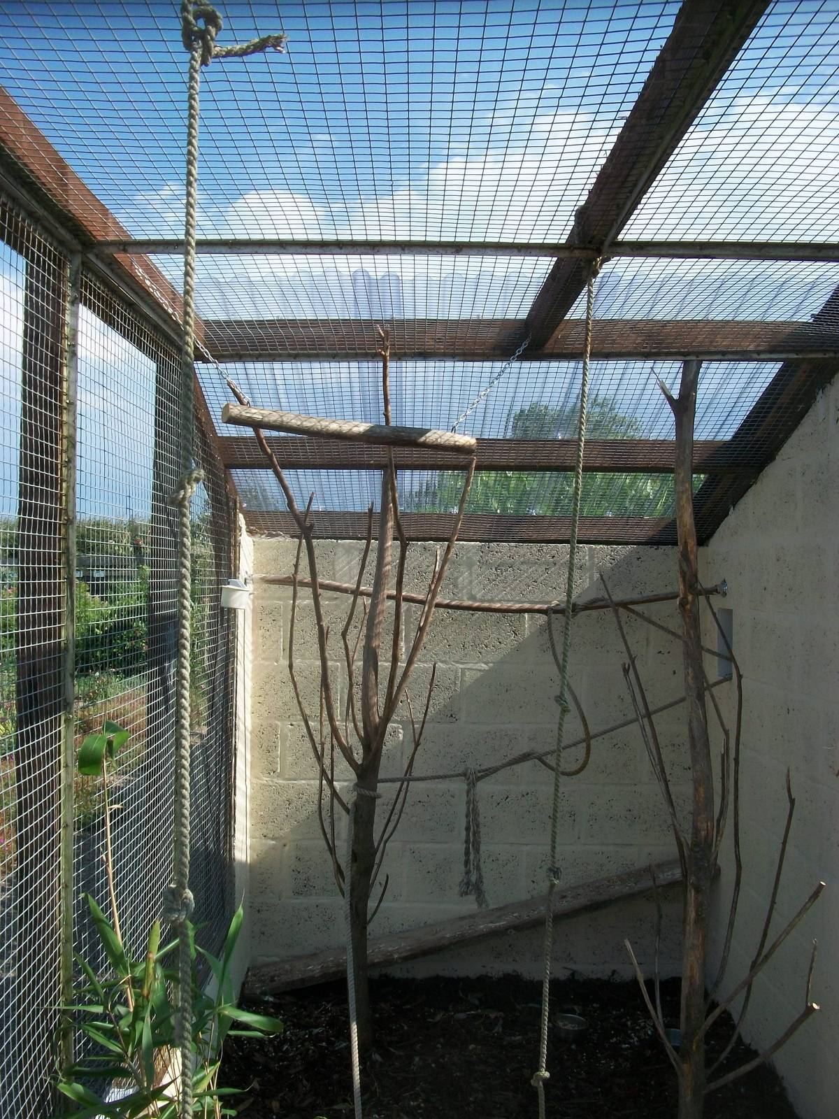 Filey Bird Garden and Animal Park, Parrot Aviary completed and occupied 2nd