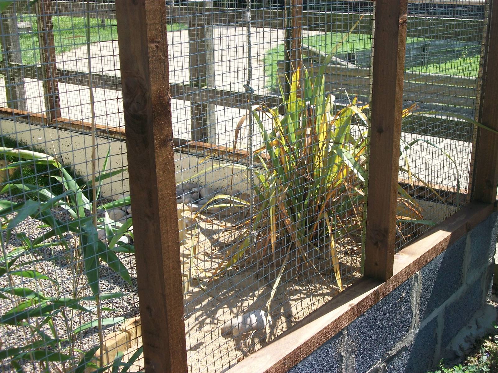 Filey Bird Garden and Animal Park, Parrot Aviary completed and occupied 2nd