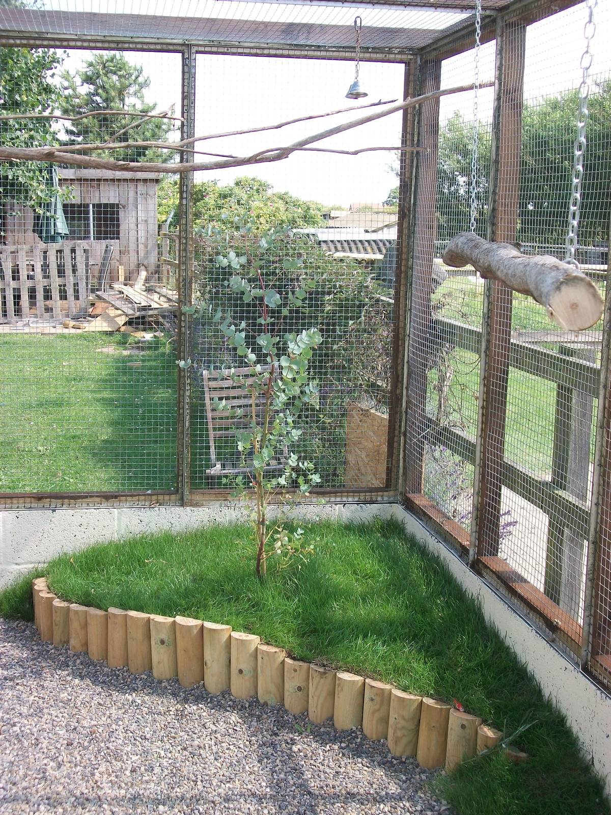 Filey Bird Garden and Animal Park, Parrot Aviary completed and occupied 2nd