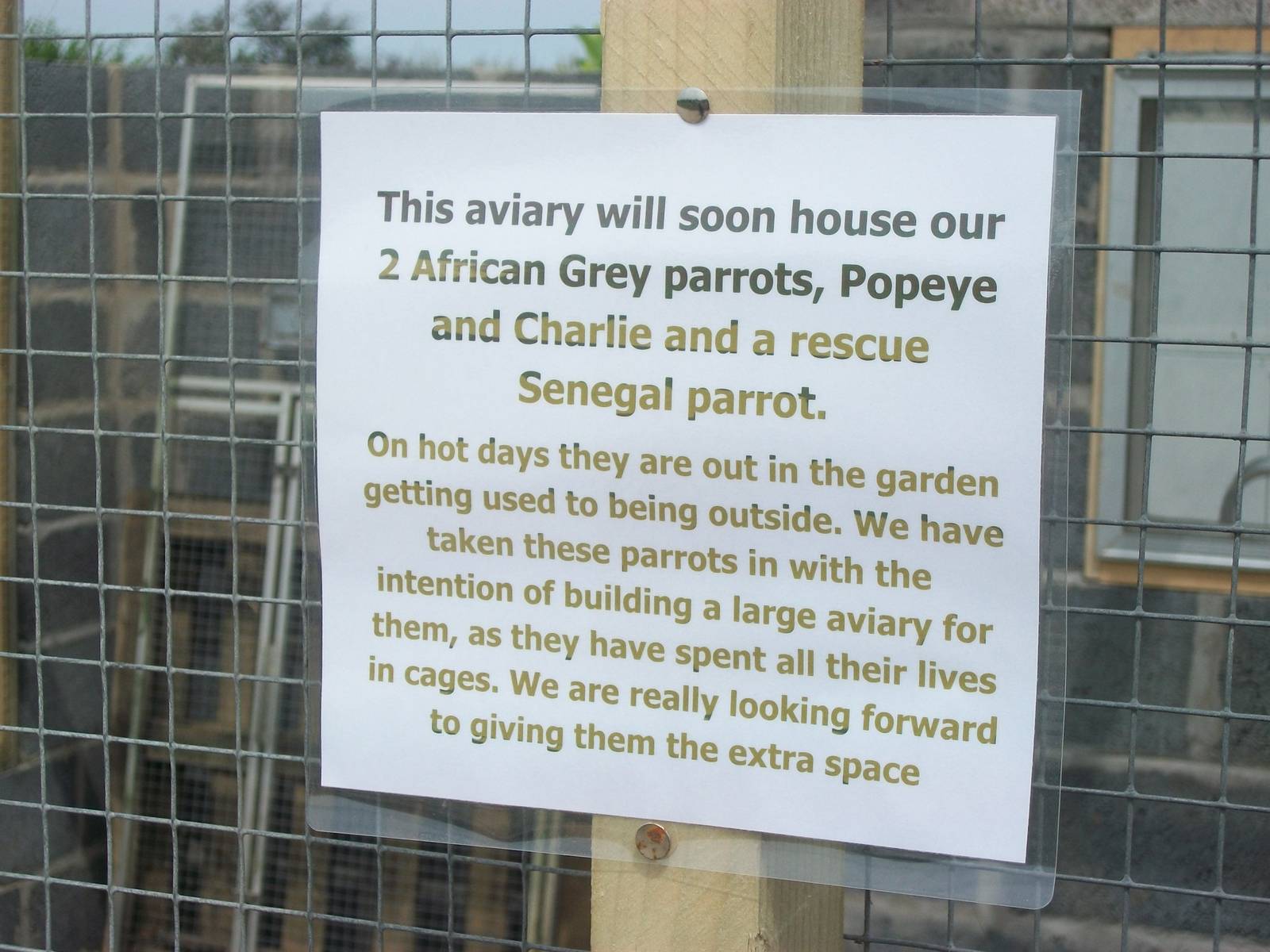 Filey Bird Garden and Animal Park, Parrot Aviary under construction 12th Ju