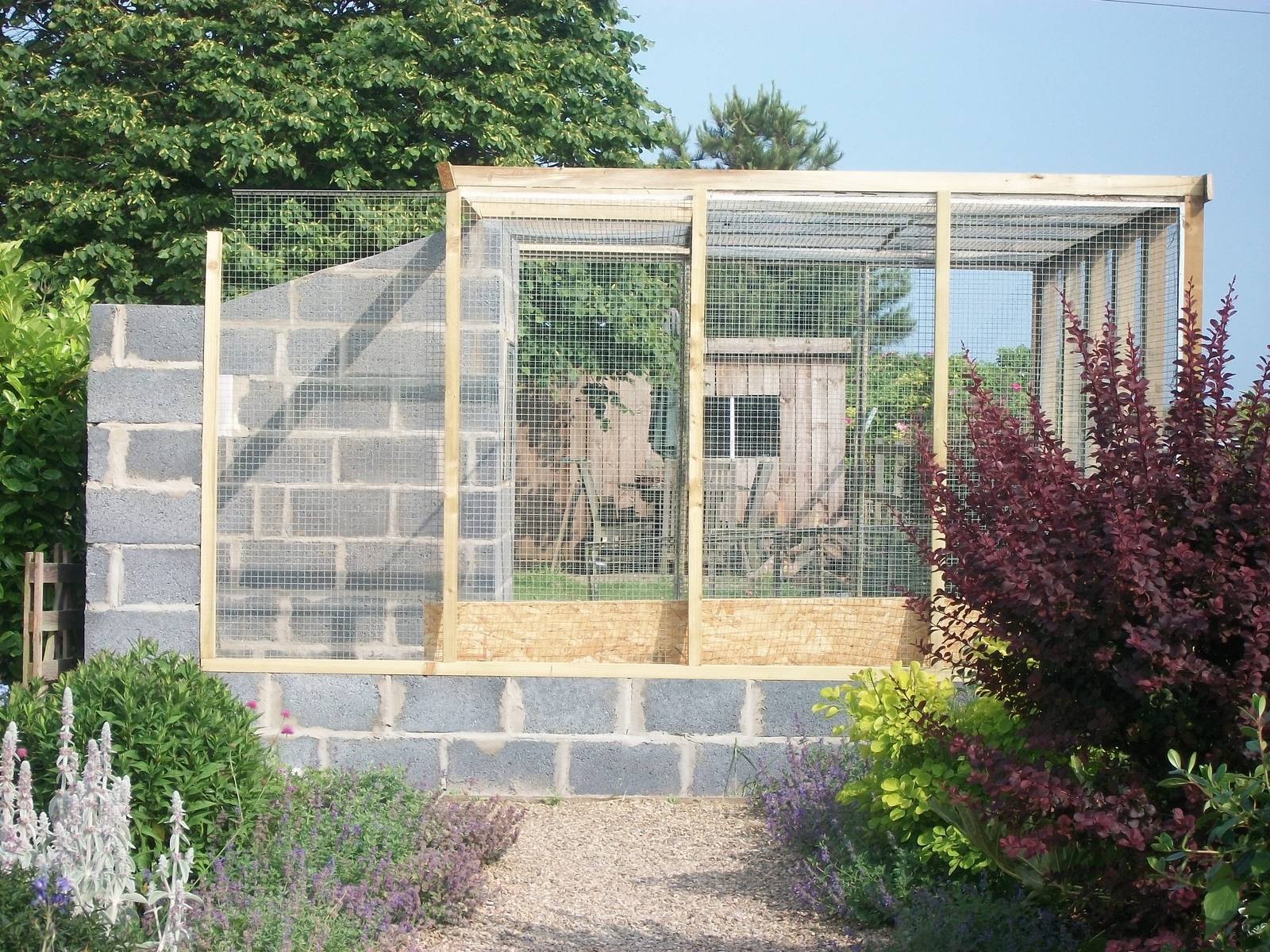 Filey Bird Garden and Animal Park, Parrot Aviary under construction 12th Ju