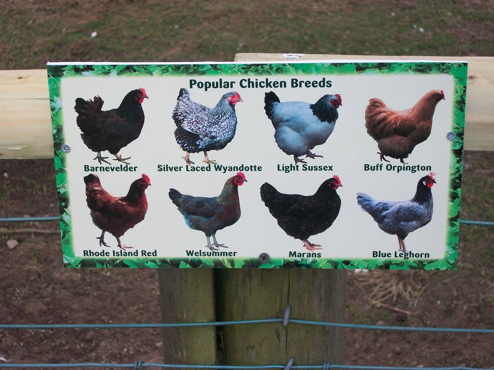 Filey Bird Garden and Animal Park, signage 12th April 2013