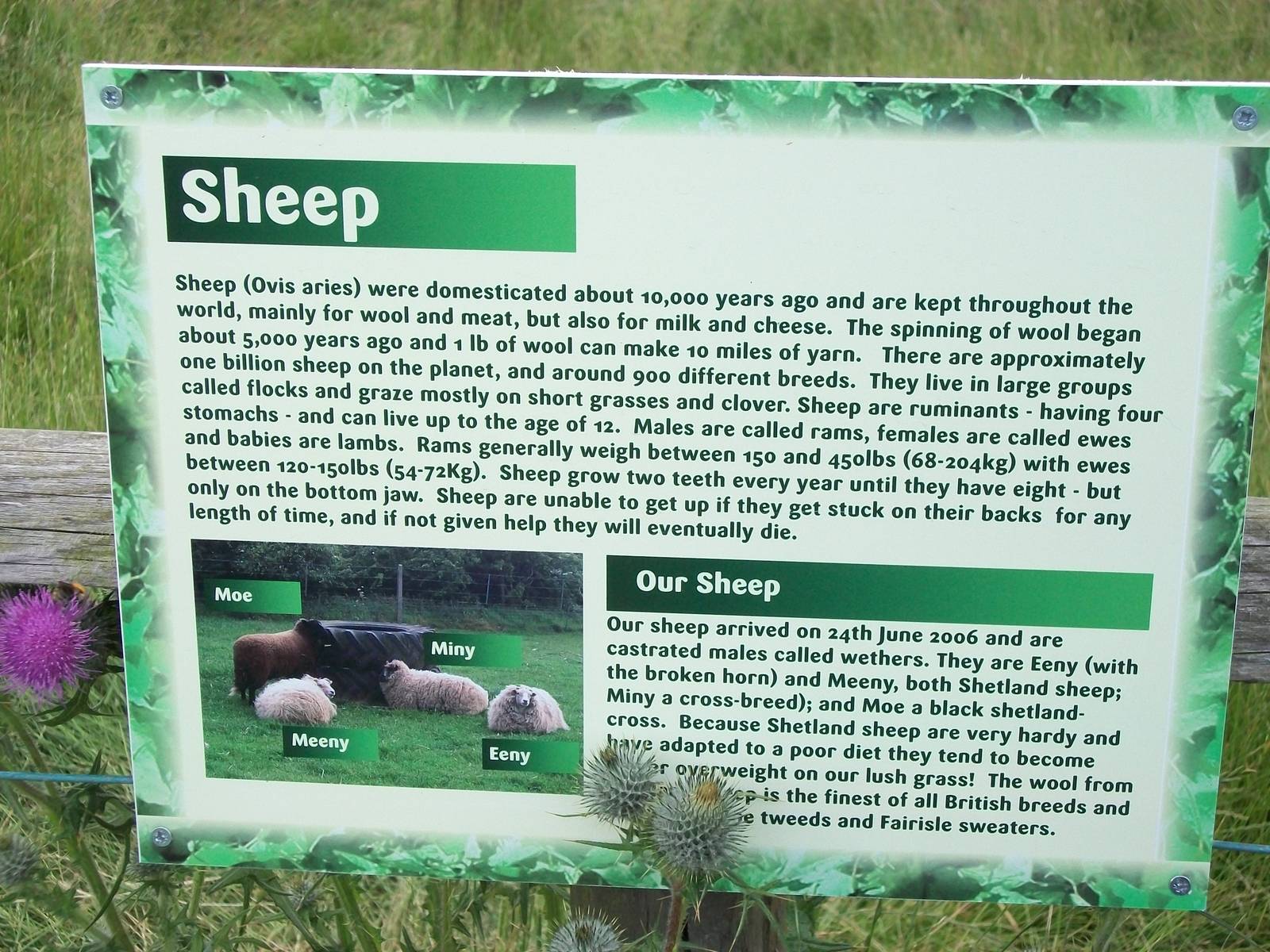 Filey Bird Garden and Animal Park signage 27th July 2012