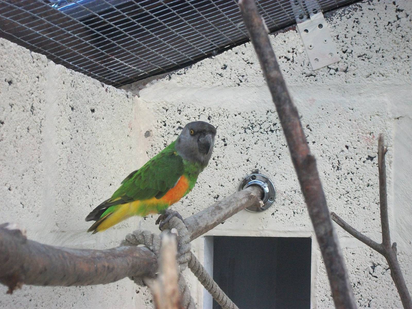Filey Bird Garden and Animal Park, Simon 2nd August 2013