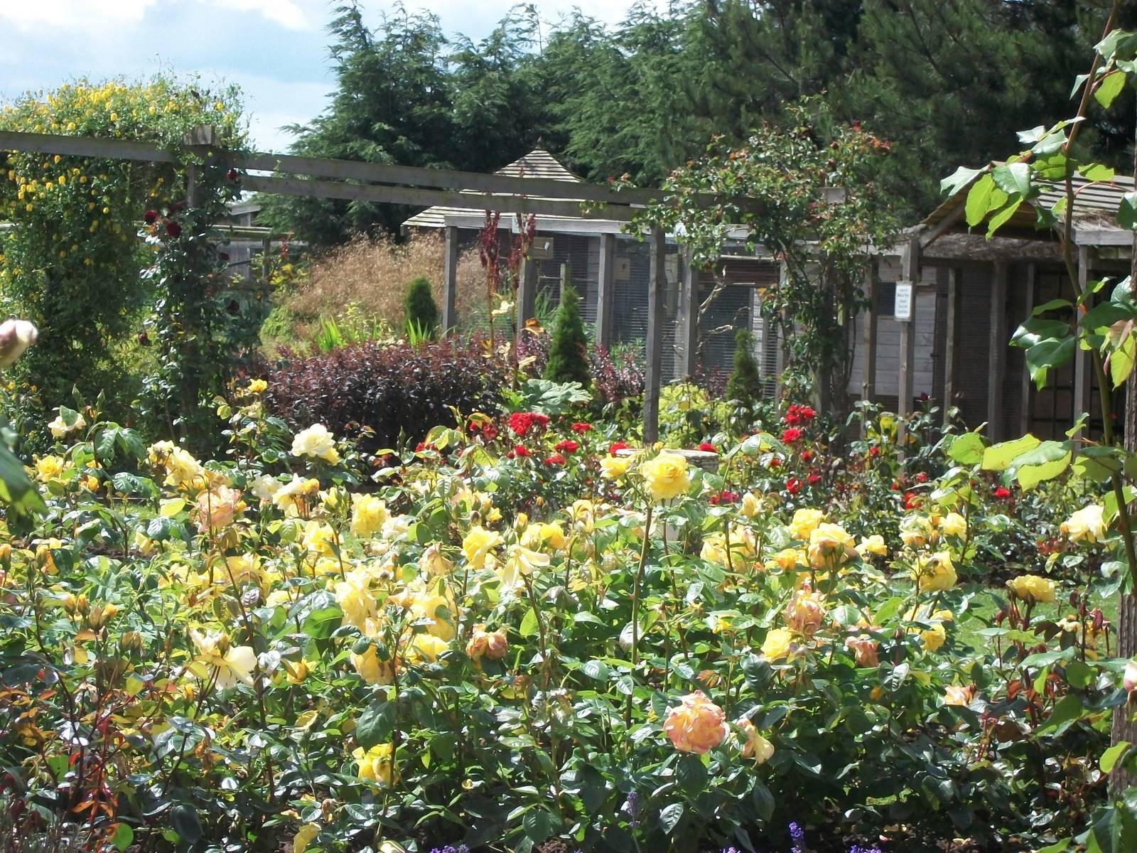 Filey Bird Garden and Animal Park