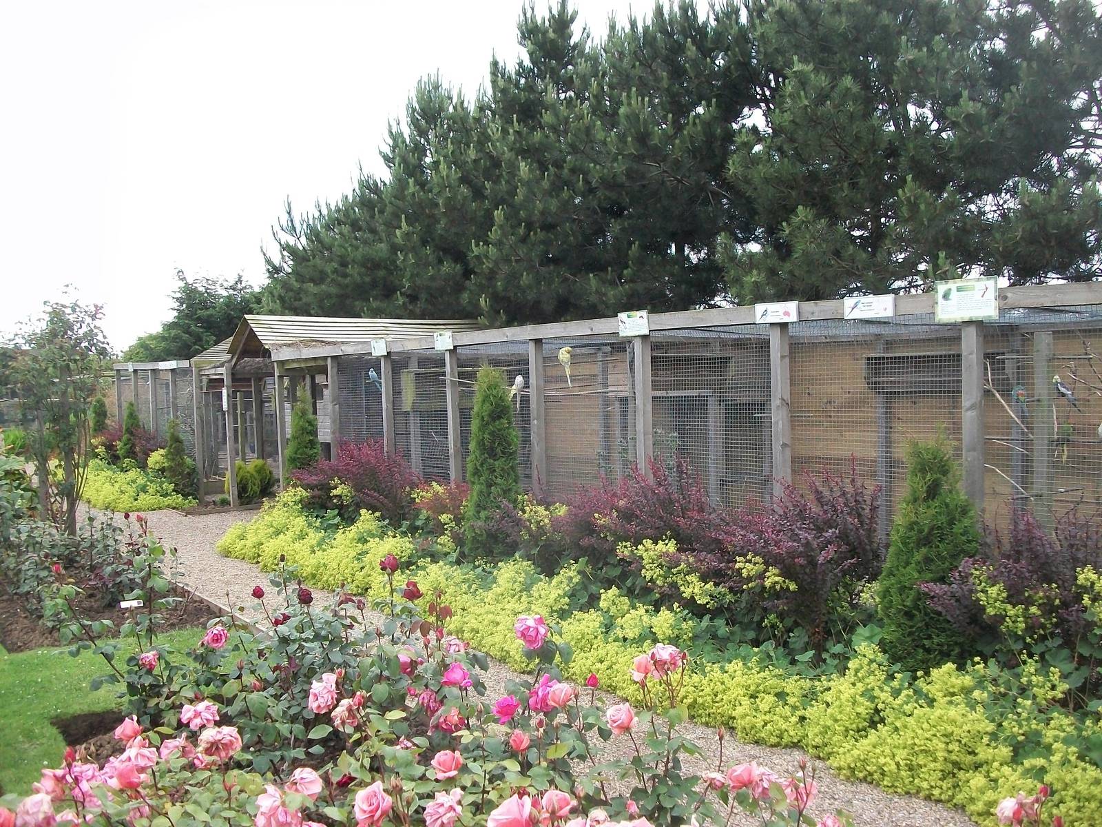 Filey Bird Garden and Animal Park