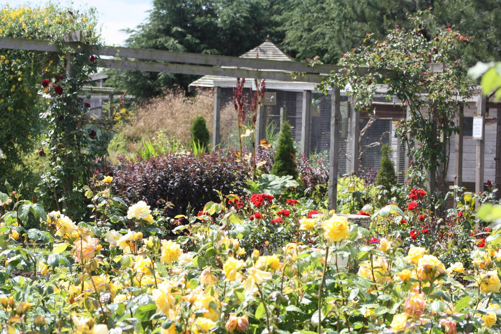 Filey Bird Garden and Animal Park