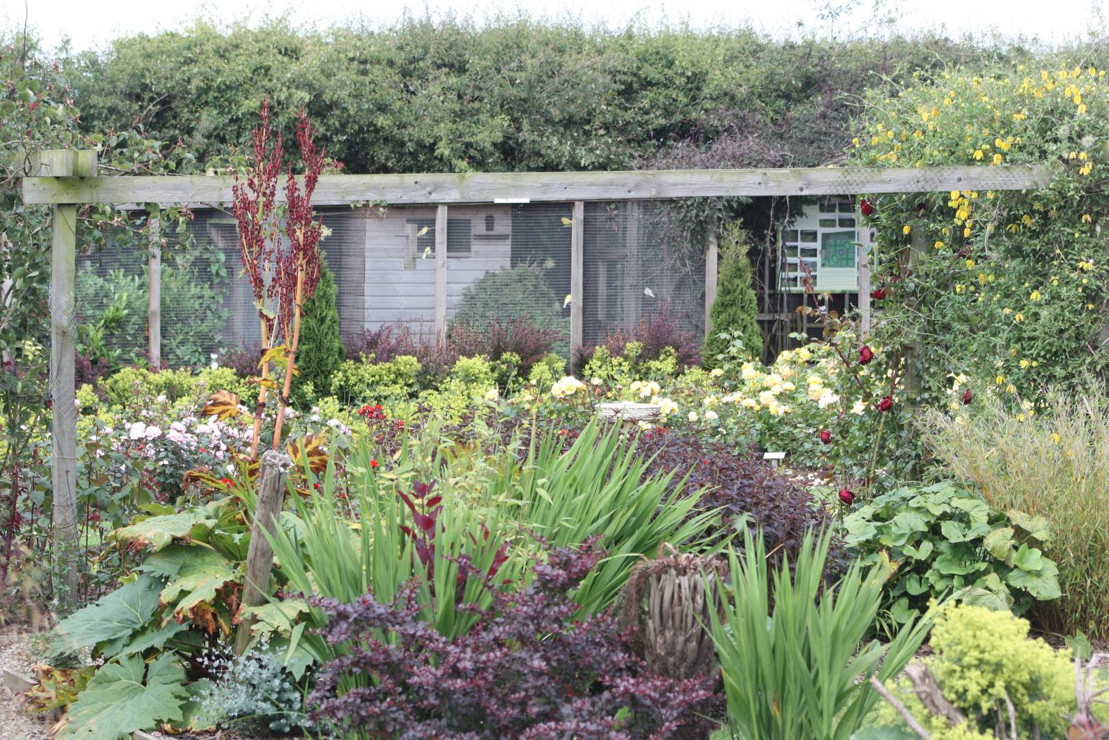 Filey Bird Garden and Animal Park