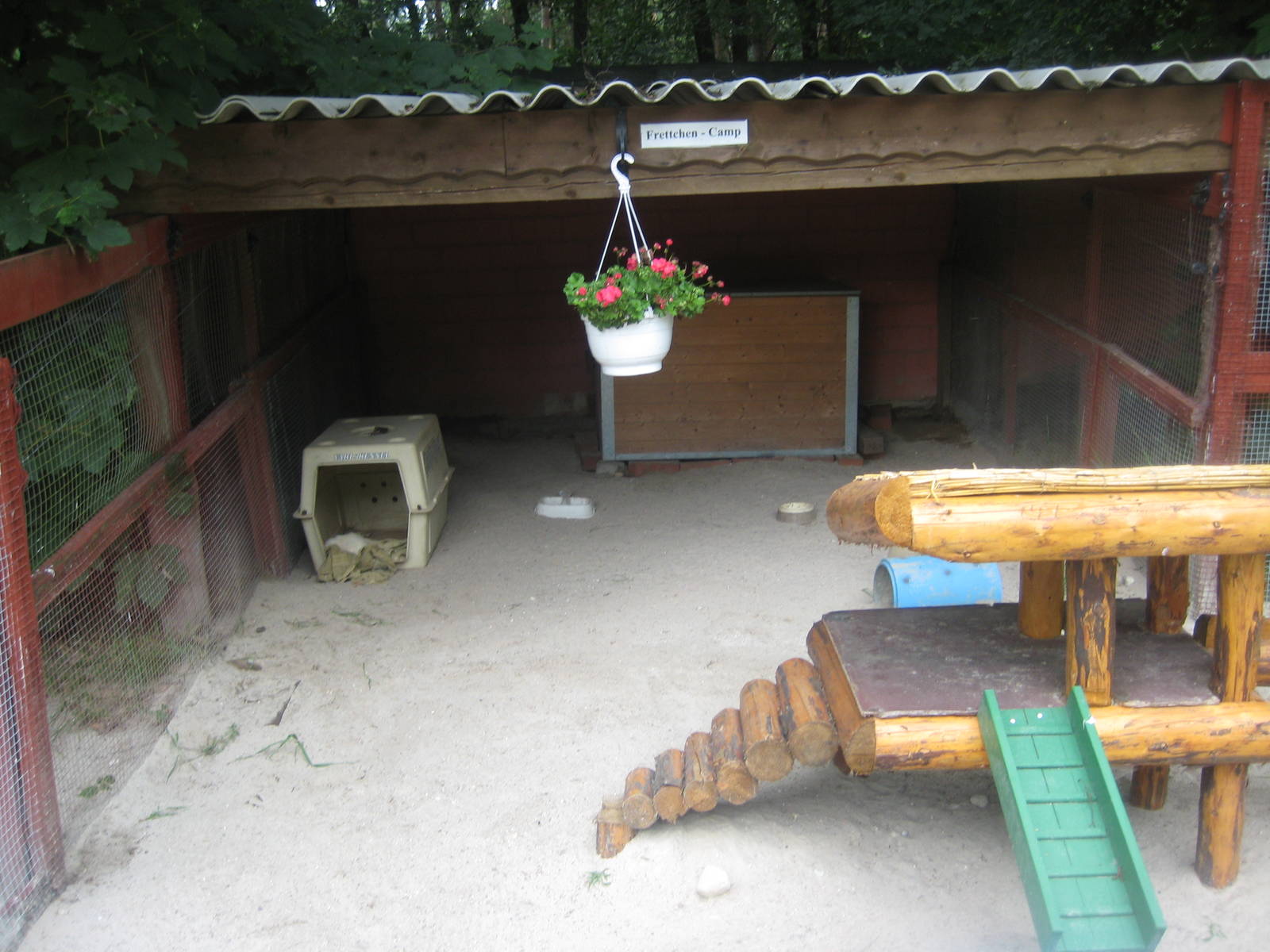Filmtierpark - Ferret exhibit
