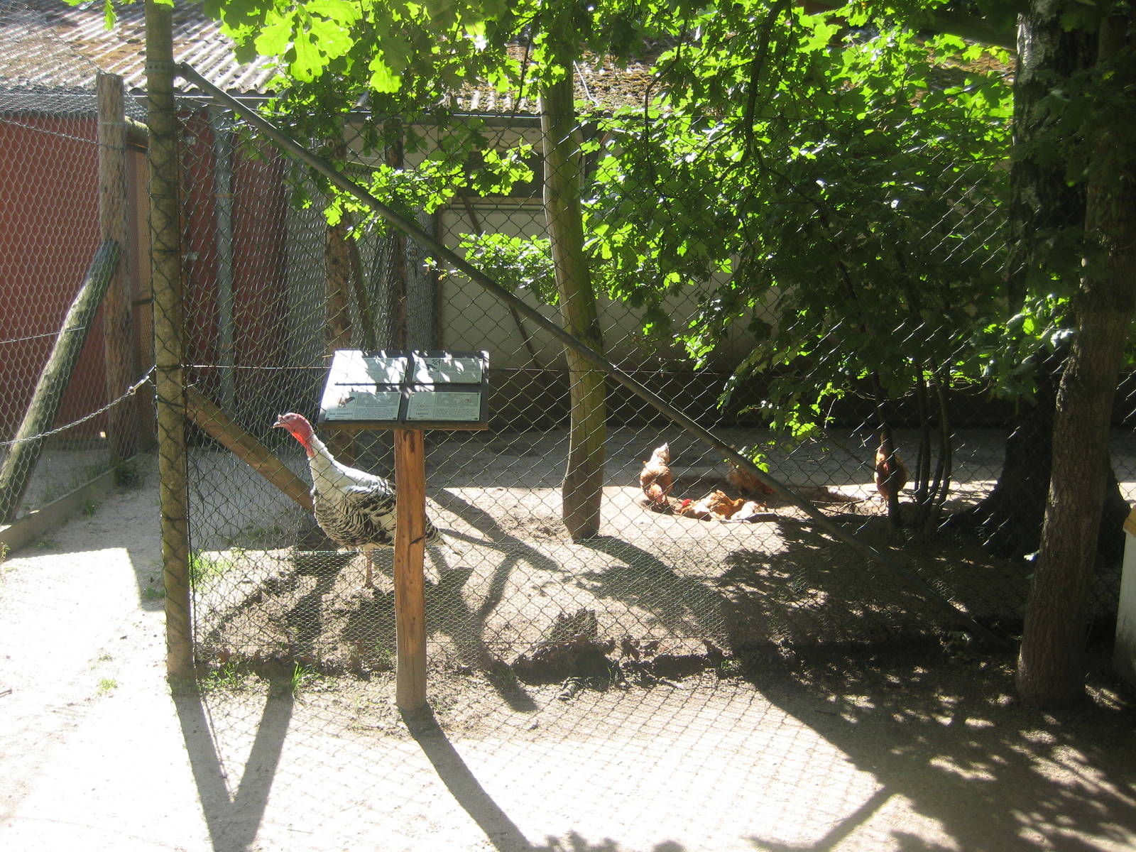 Filmtierpark - Fowl aviary