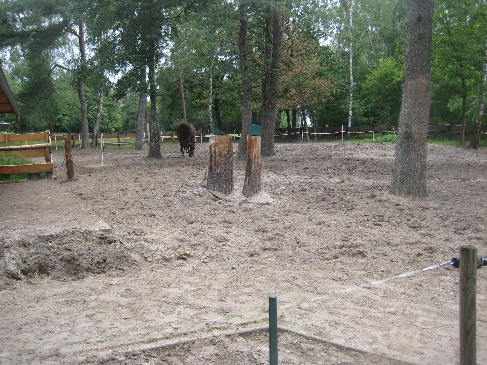 Filmtierpark - Horse exhibit
