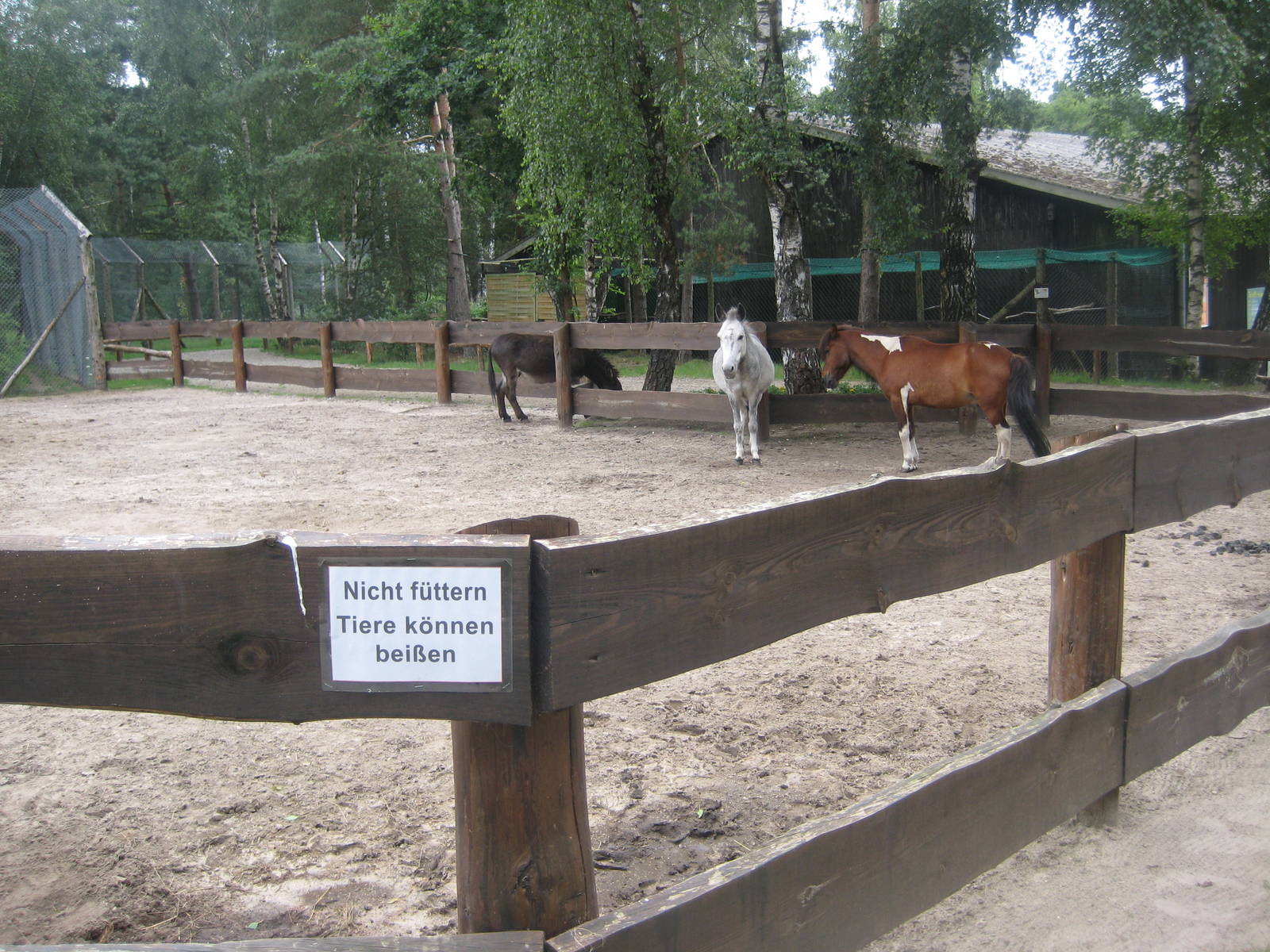 Filmtierpark - Horse exhibit
