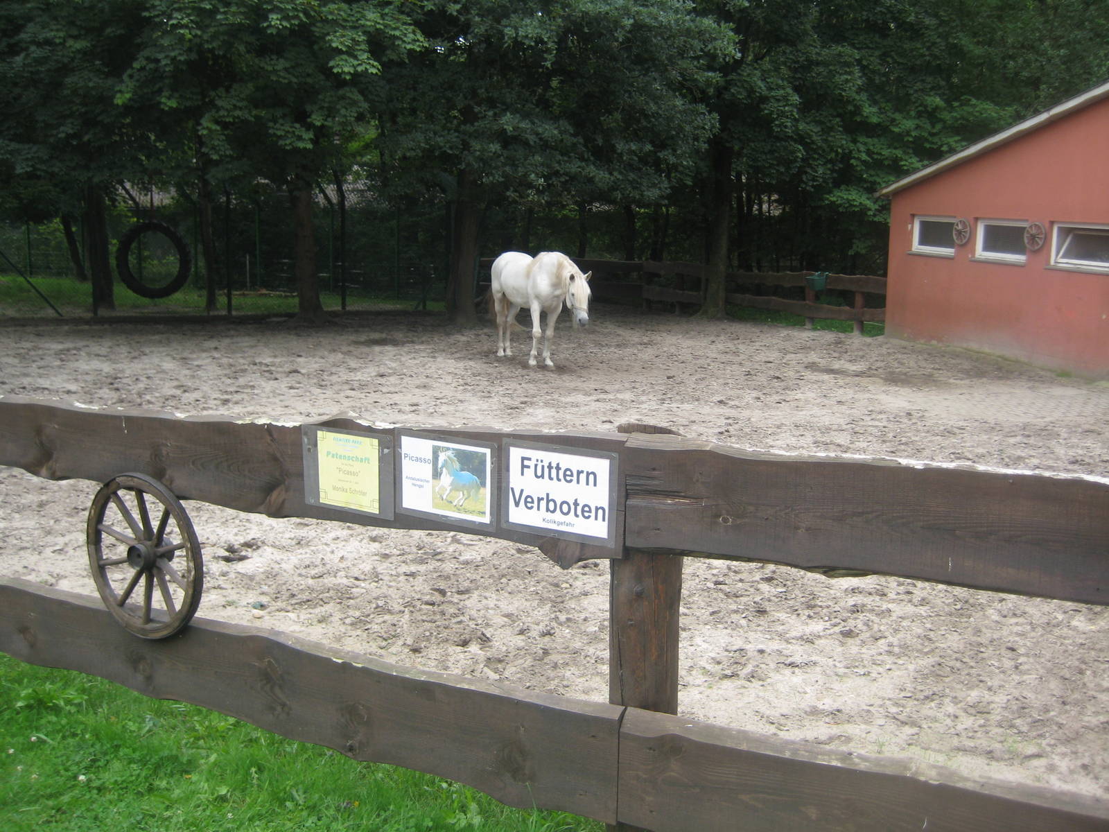 Filmtierpark - Horse exhibit