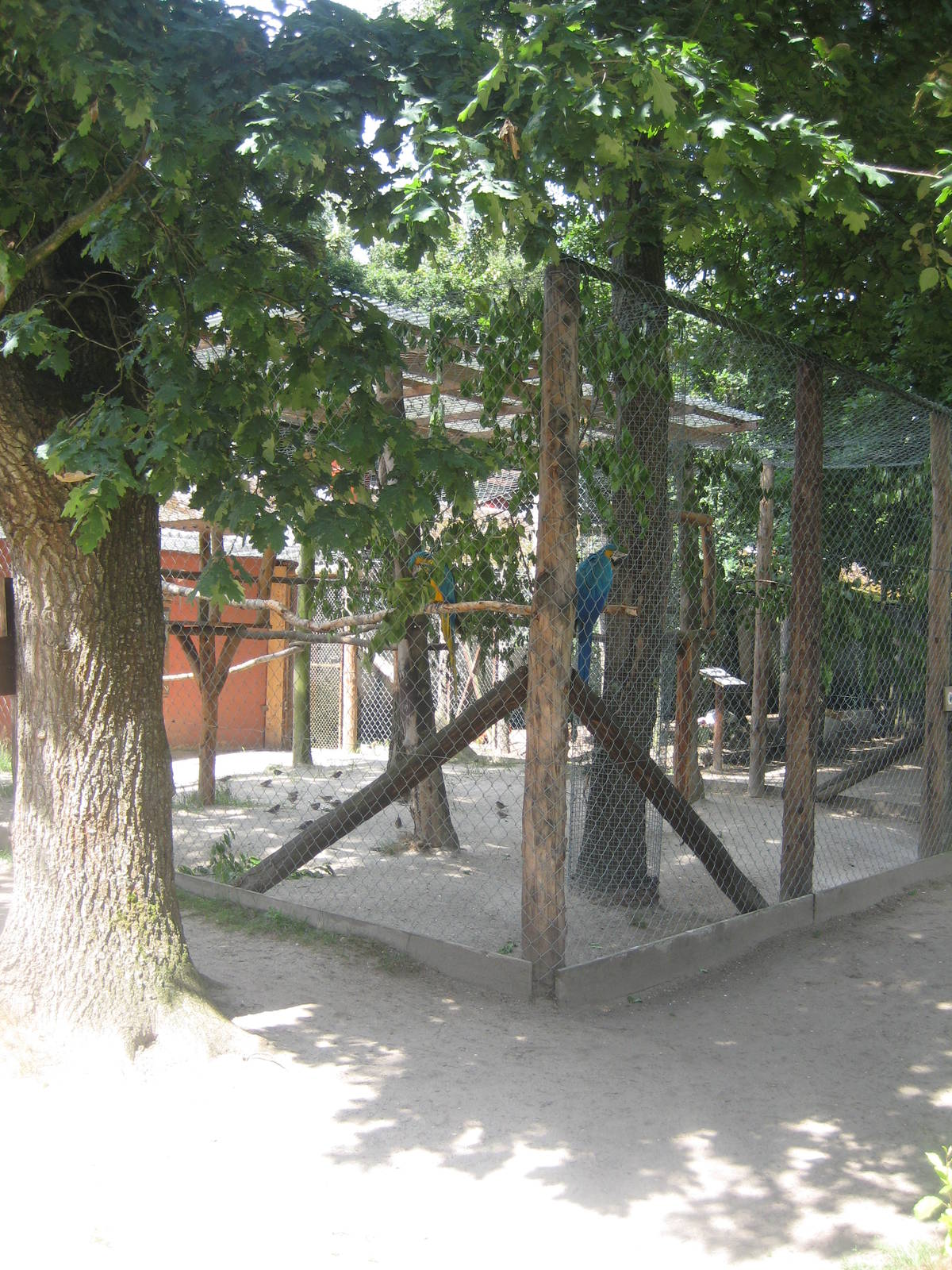 Filmtierpark - Macaw aviary