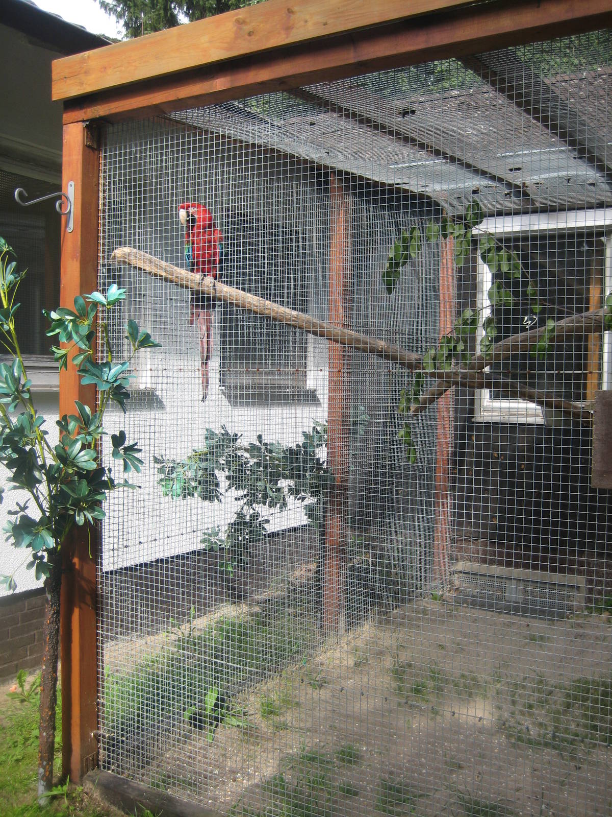 Filmtierpark - Macaw aviary