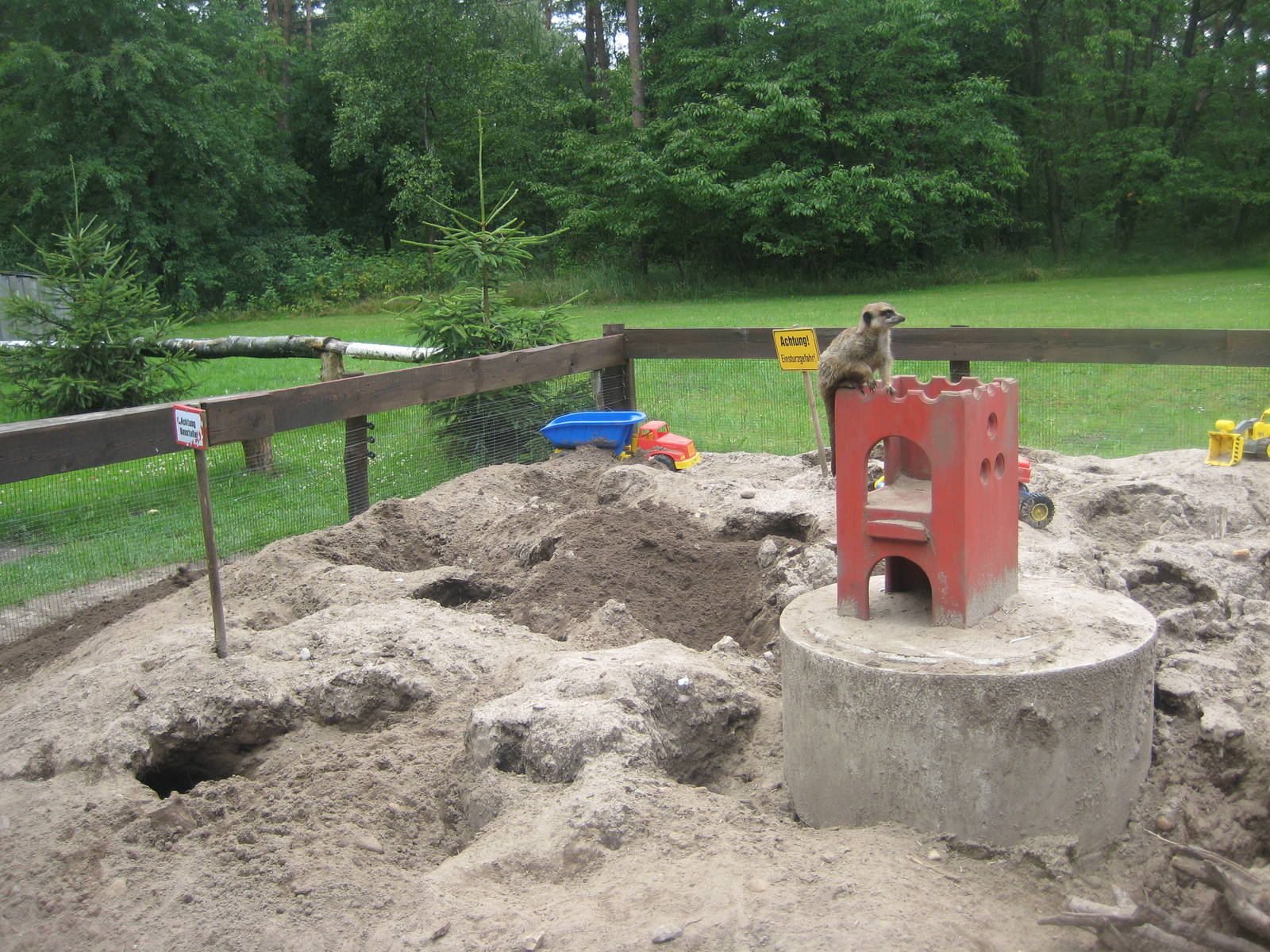 Filmtierpark - Meerkat exhibit