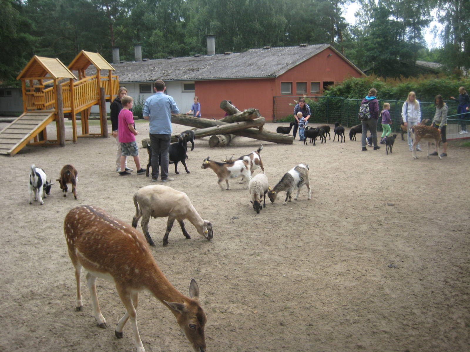 Filmtierpark - Petting zoo/playground