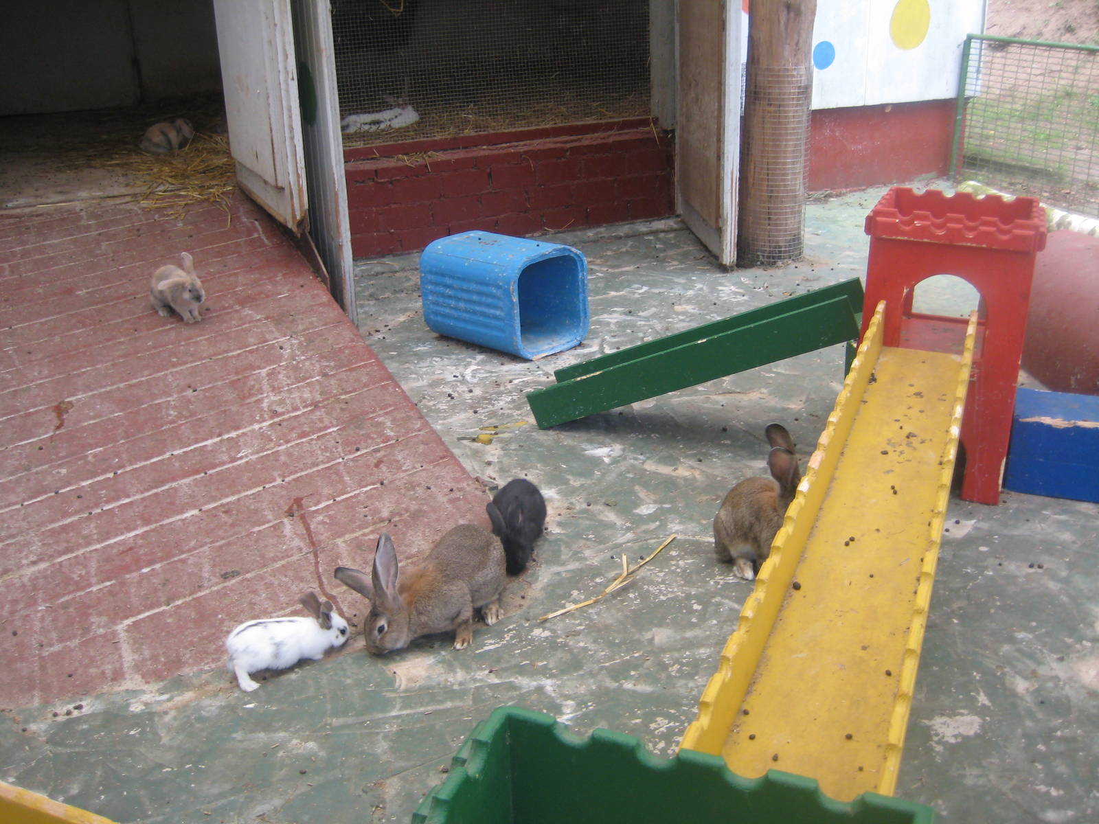 Filmtierpark - Rabbit exhibit