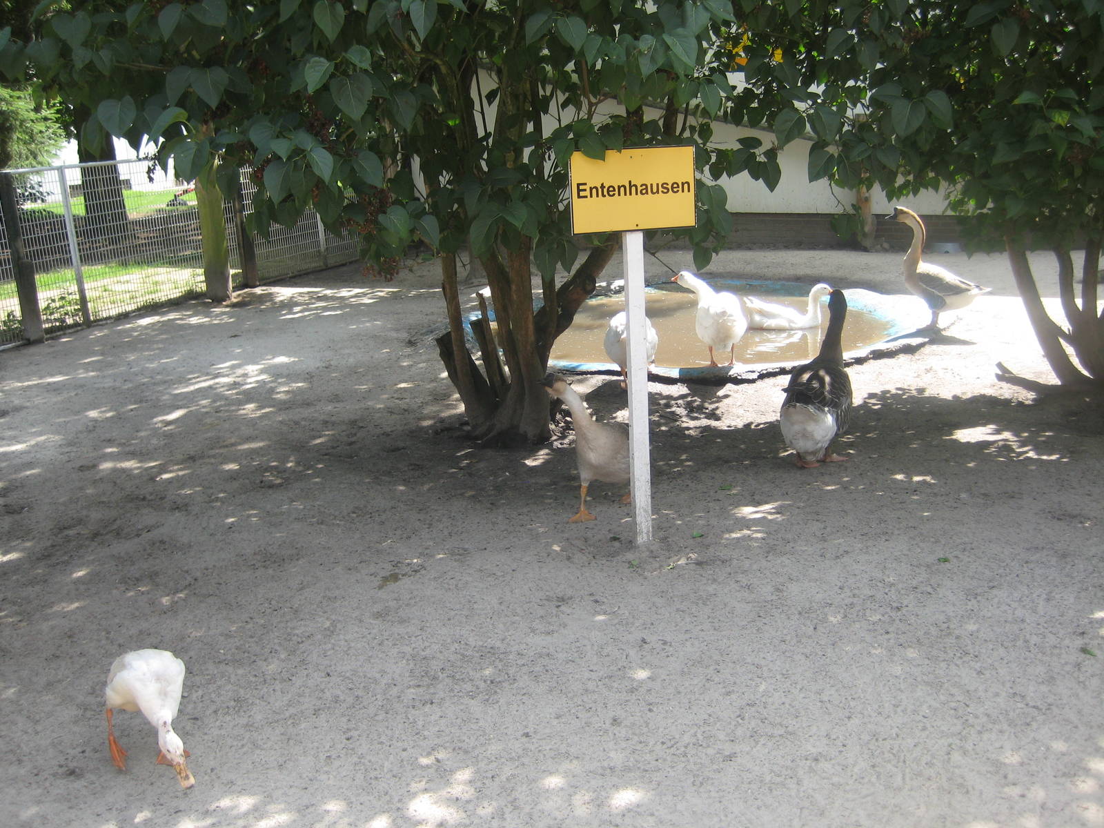 Filmtierpark - Waterfowl exhibit