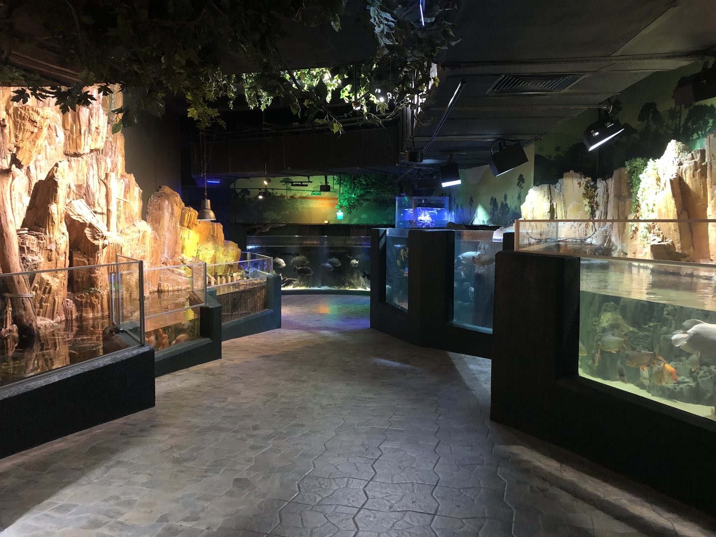 Final hallway at the Emaar aquarium