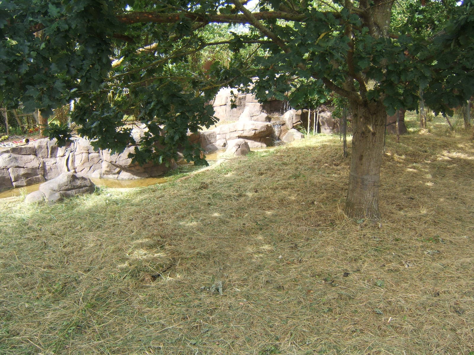 Final touches to the ASCO and Binturongs exhibit