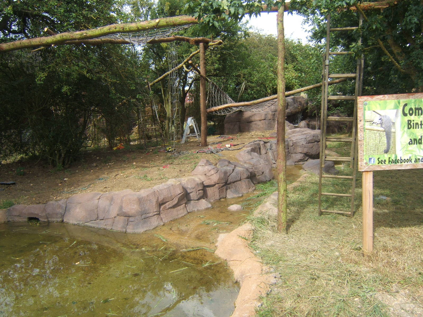 Final touches to the ASCO and Binturongs exhibit