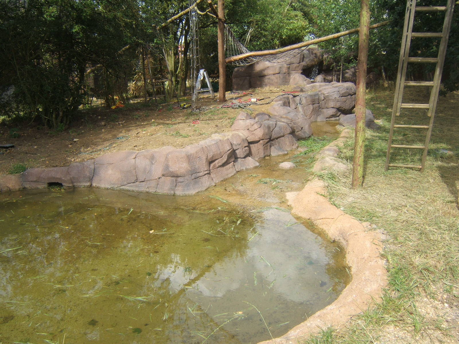 Final touches to the ASCO and Binturongs exhibit