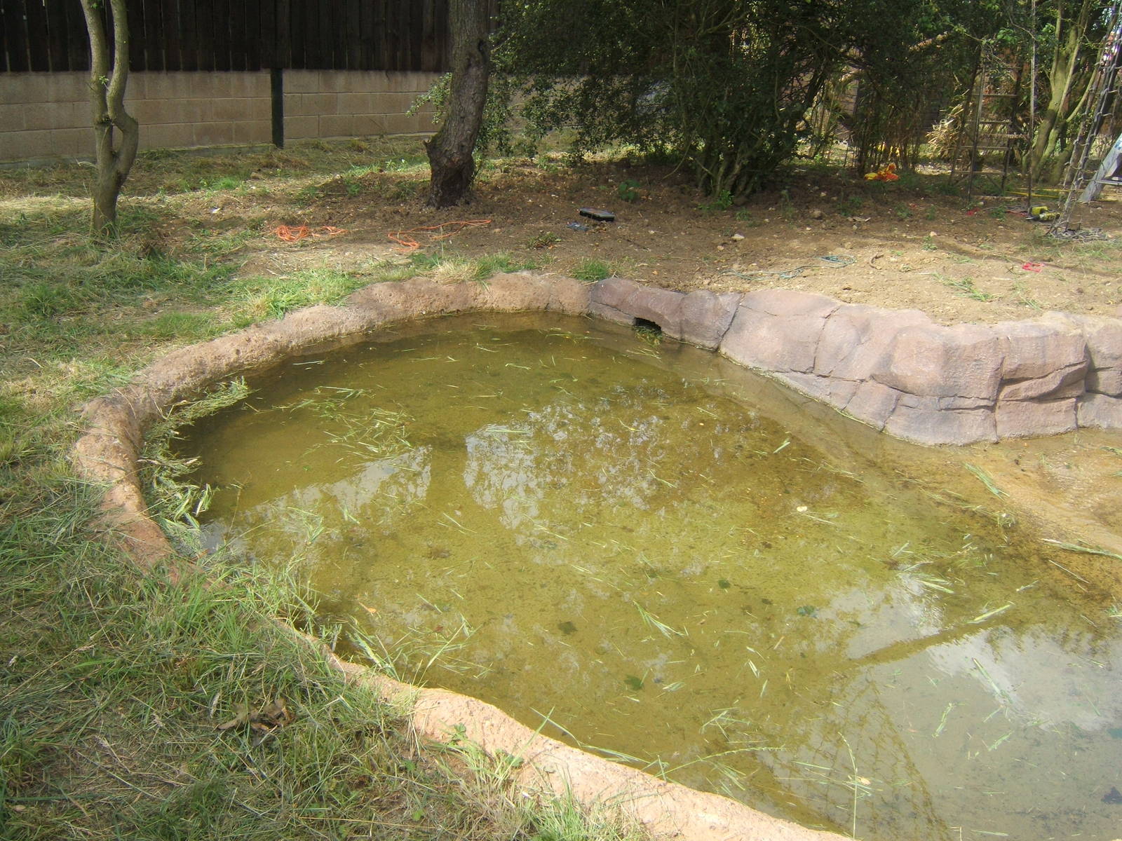 Final touches to the ASCO and Binturongs exhibit